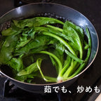 Unpainted frying pan